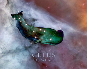 Artwork of Cetus - The Whale constellation against backdrop of outer space