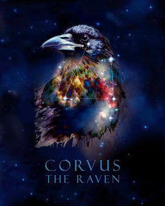 Artwork of Corvus - The Raven constellation against backdrop of outer space